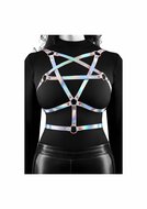 Harness