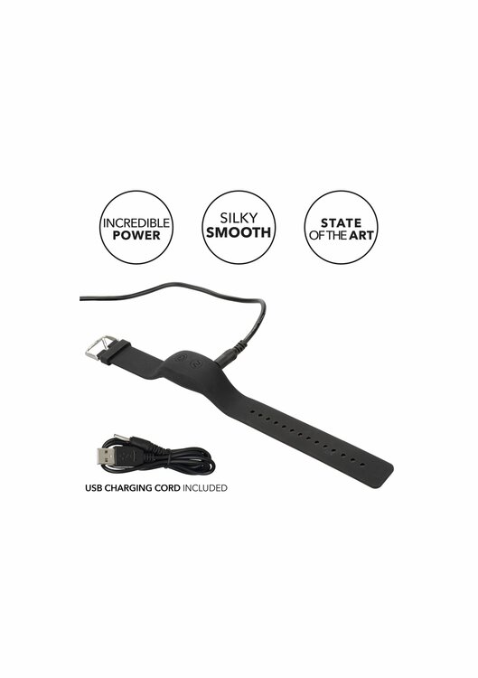 Wristband Remote Accessory