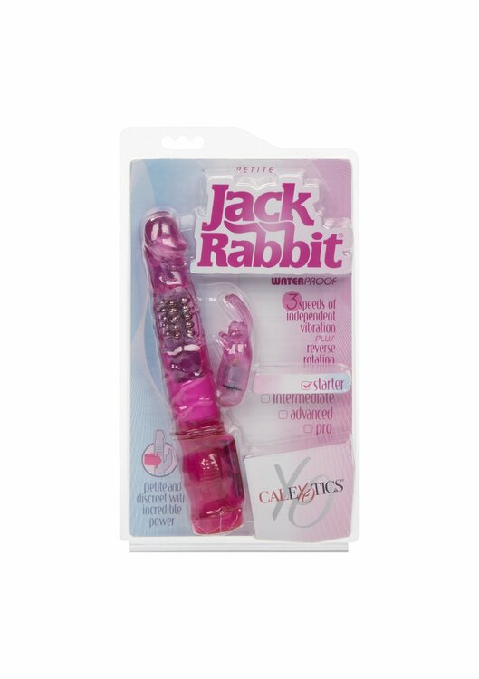 Petite Jack Rabbit
