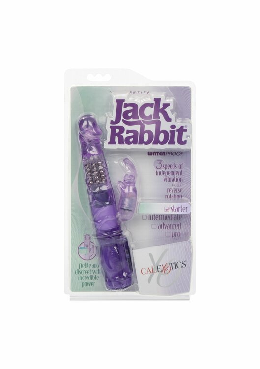 Petite Jack Rabbit