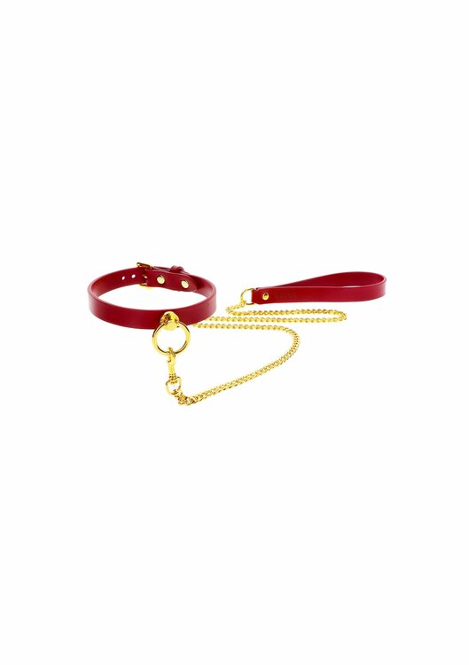 O-Ring Collar and Chain Leash