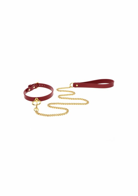 O-Ring Collar and Chain Leash
