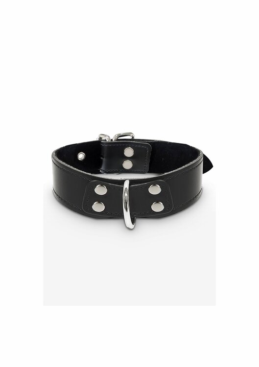 Elegant D-Ring Collar