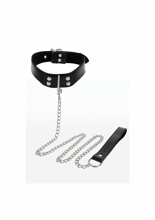 Elegant Collar and Chain Leash