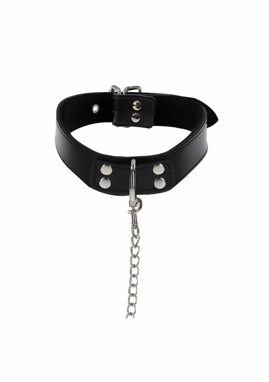 Elegant Collar and Chain Leash