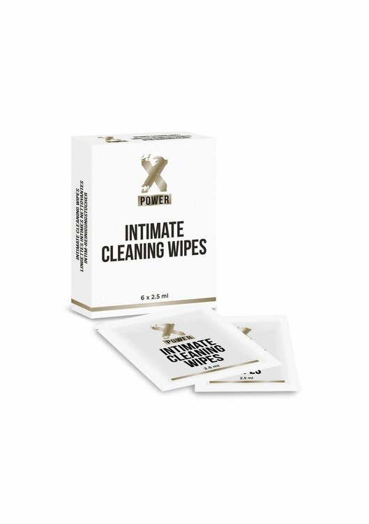 Int. Cleaning Wipes 6x sachet