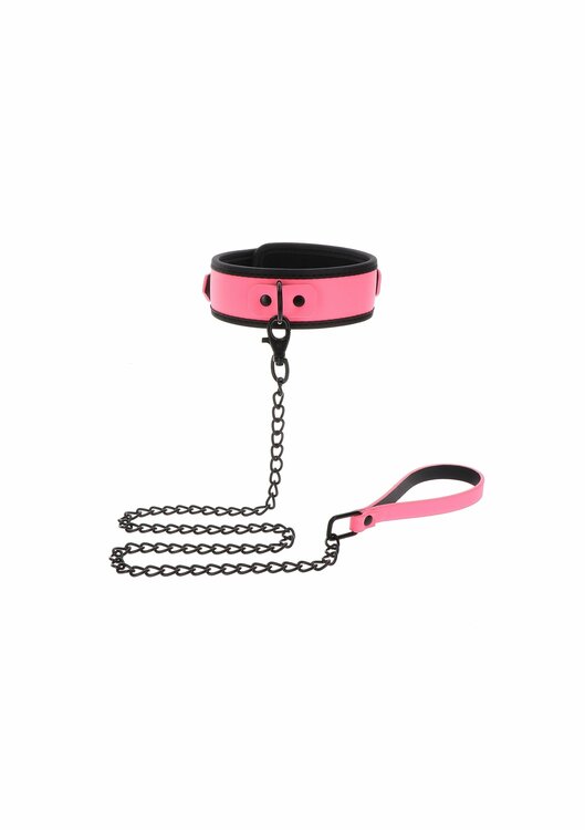 Collar and Chain Leash