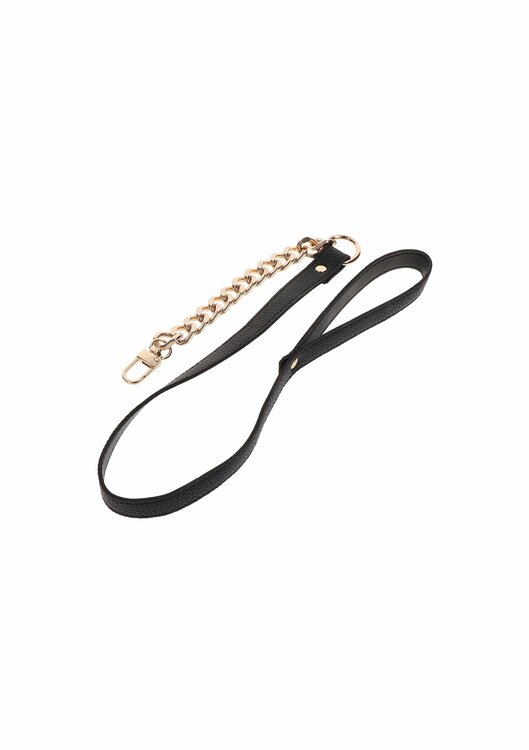 Statement Leash