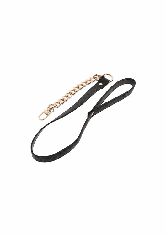 Statement Collar and leash