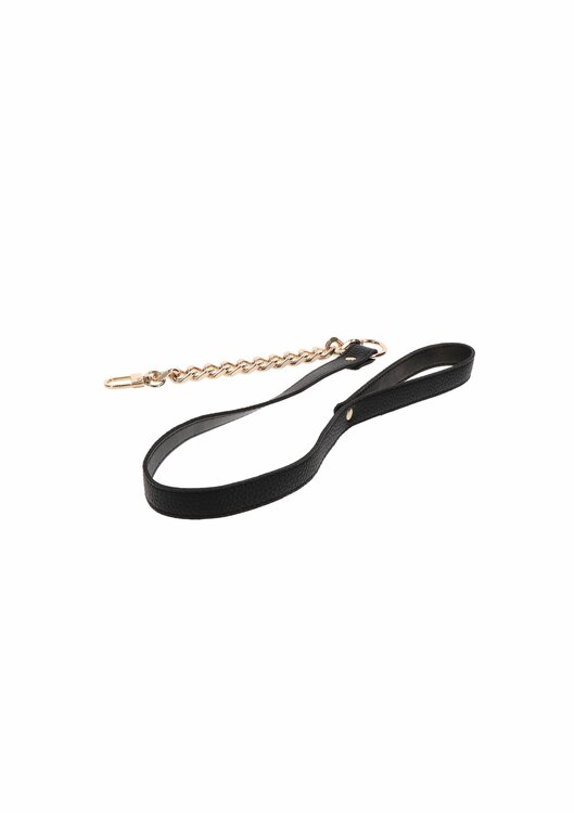 Statement Collar and leash