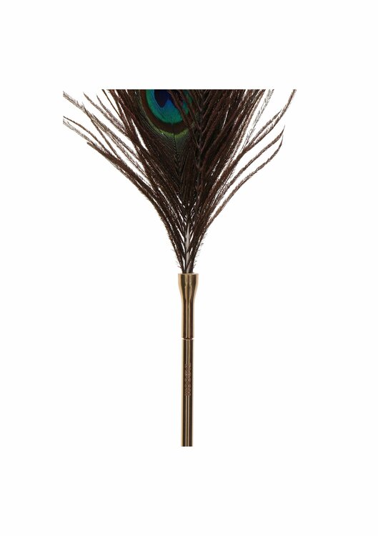 Peacock Tickler