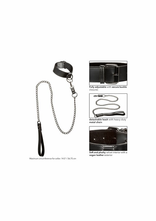 Collar With Chain Leash