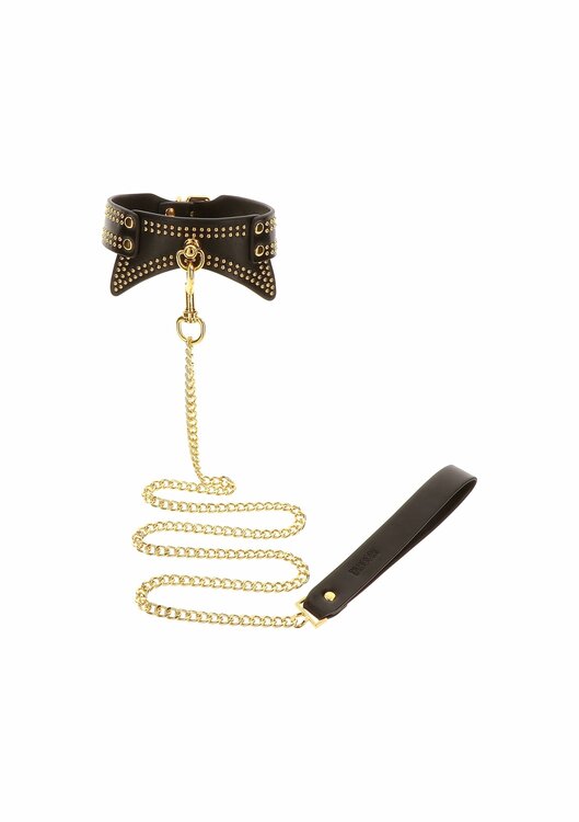 Studded Collar and Leash