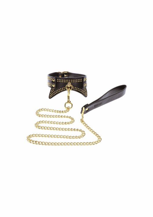 Studded Collar and Leash