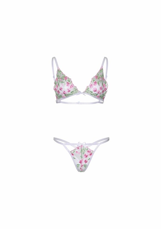 Floral sheer bra and g-string