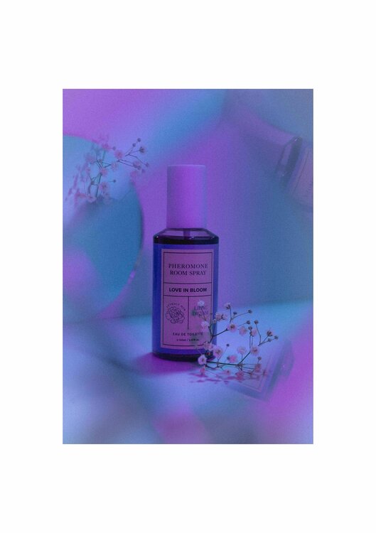 Room Phero Attract Him 150ml