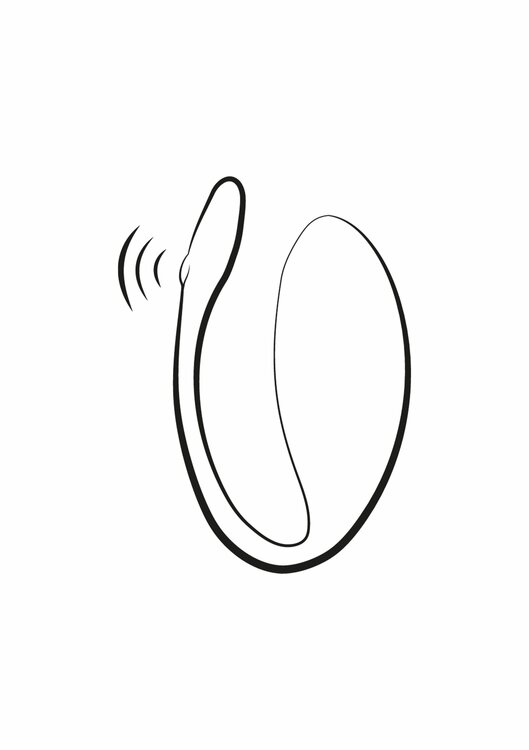 We-Vibe Jive Lite