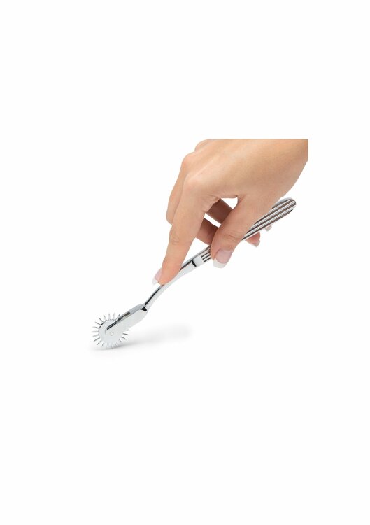 Metal Wartenberg Pinwheel