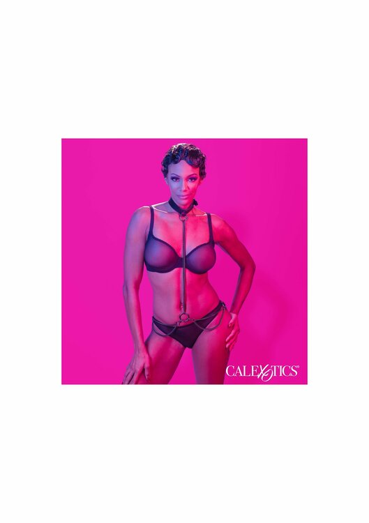Chain Halter &amp; Collar
