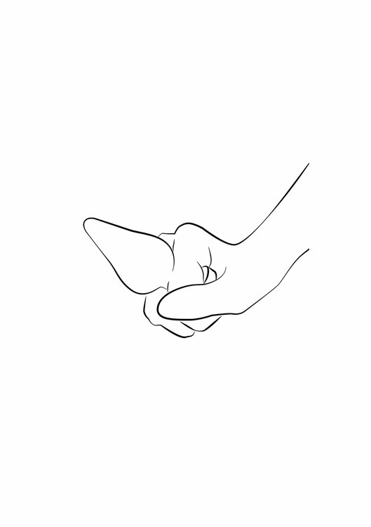 Luster Anal training Kit