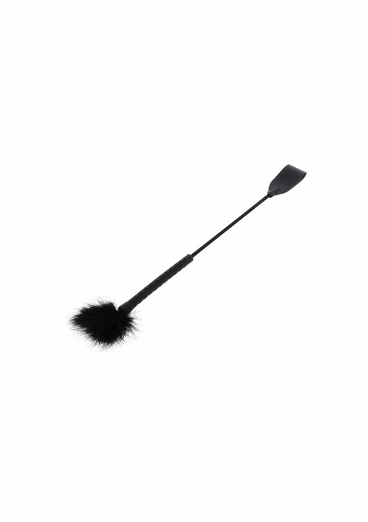 Crop Whip &amp; Feather Tickler