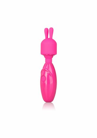 Tiny Teasers Bunny