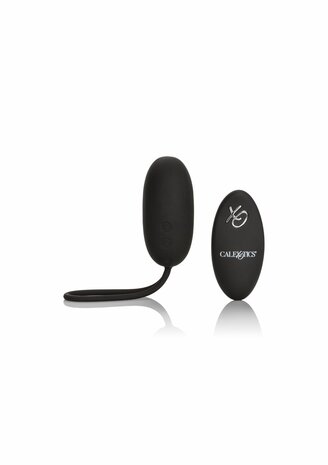 Remote Rechargeable Egg