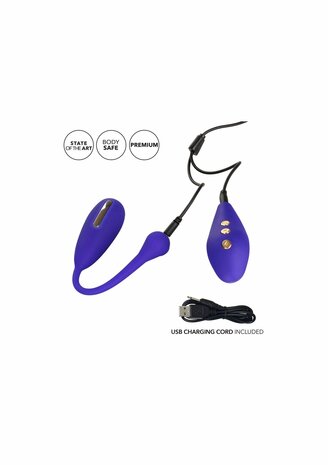 Estim Remote Kegel Exerciser