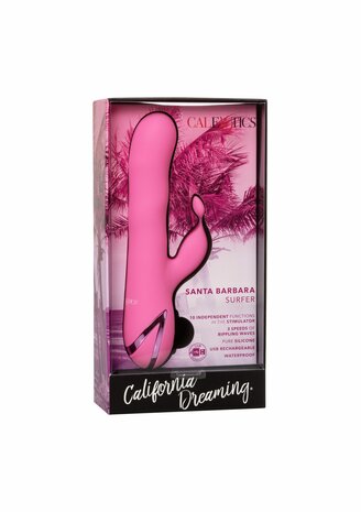 Santa Barbara Surfer