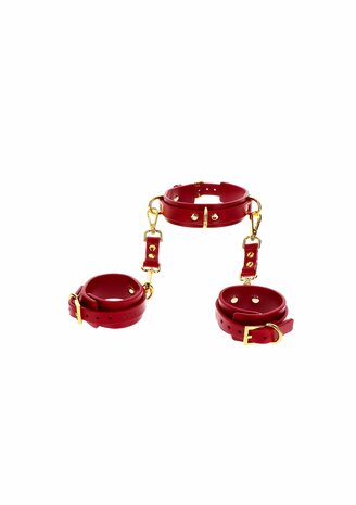 D-Ring Collar and Wrist Cuffs