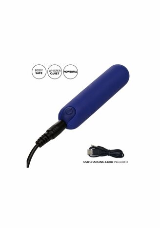 Rechargeable Hideaway Bullet