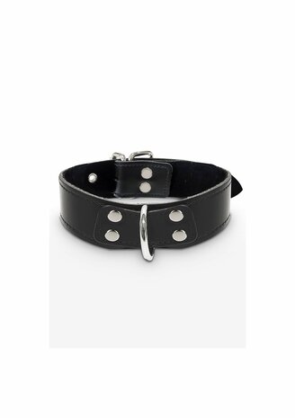 Elegant D-Ring Collar