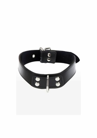 Elegant D-Ring Collar