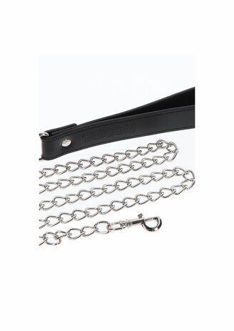 Elegant Collar and Chain Leash