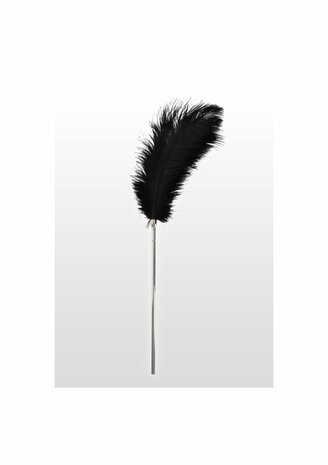 Feather Tickler