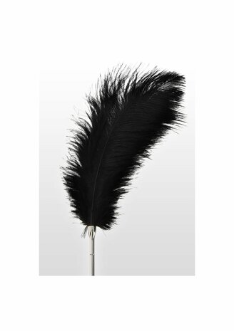 Feather Tickler