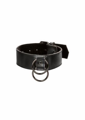 Collar With Chain Leash