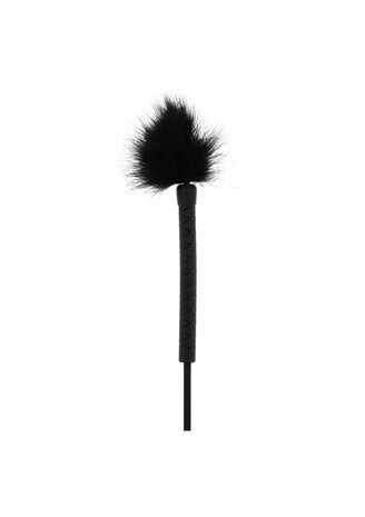 Crop Whip &amp; Feather Tickler