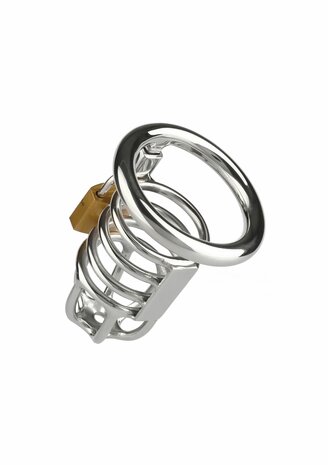 Master Chastity Cock Cage