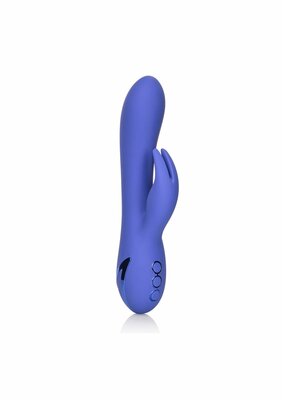 Beverly Hills Bunny - Purple