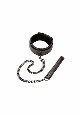 Boundless Collar & Leash - Black