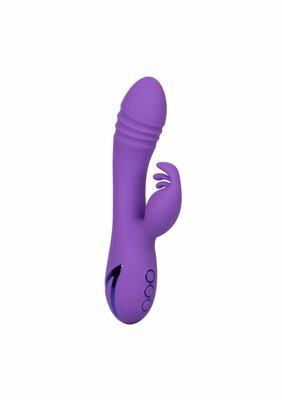 West Coast Wave Rider - Purple