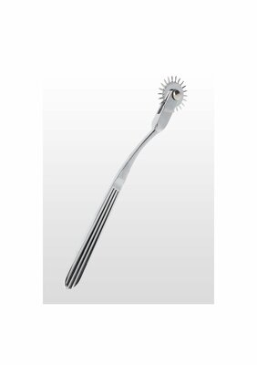 Warterberg Wheel - Silver