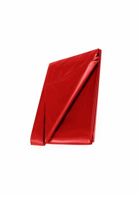 WetPlay PVC Bedsheet 210x200cm - Red