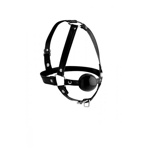 Image of Hoofd Harnas Met Ballgag