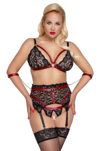 Image of BH Bondage Jarretel Set - Zwart